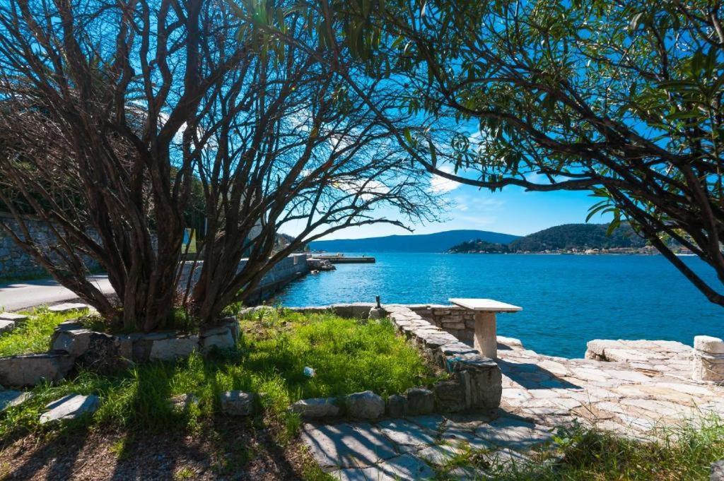 Apartmani Vesna Tivat Exteriér fotografie