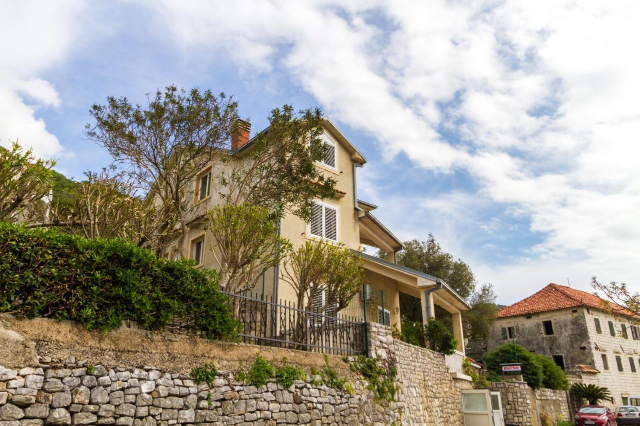 Apartmani Vesna Tivat Exteriér fotografie