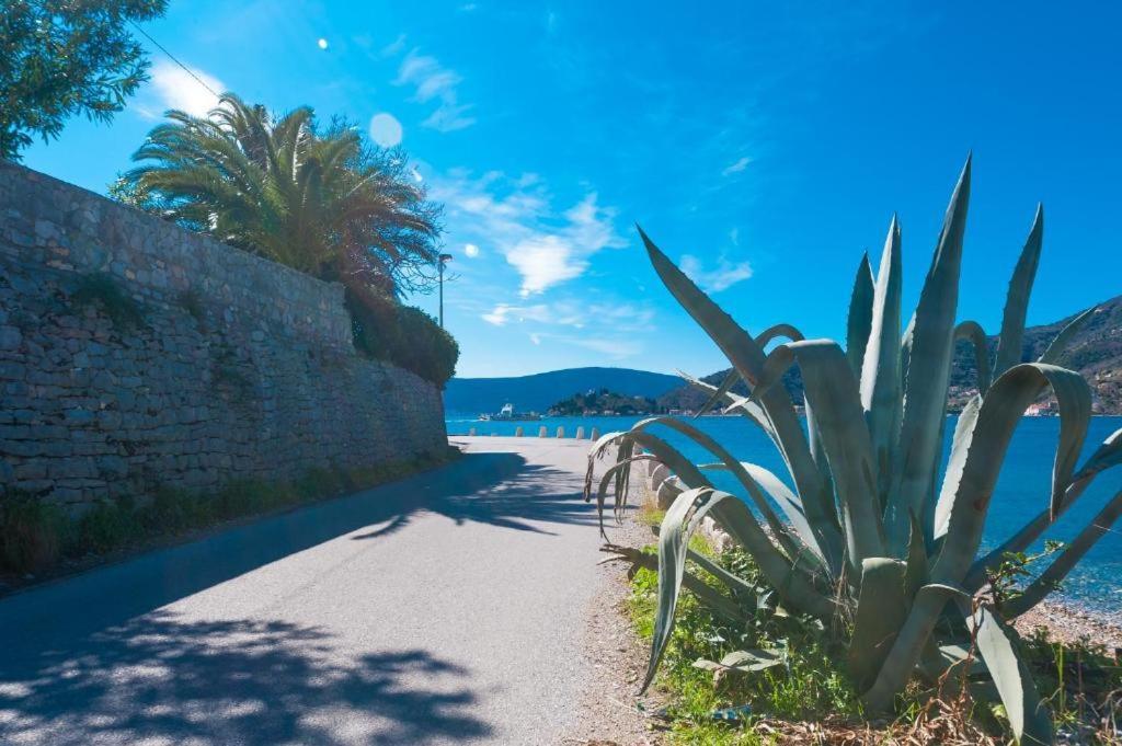 Apartmani Vesna Tivat Exteriér fotografie