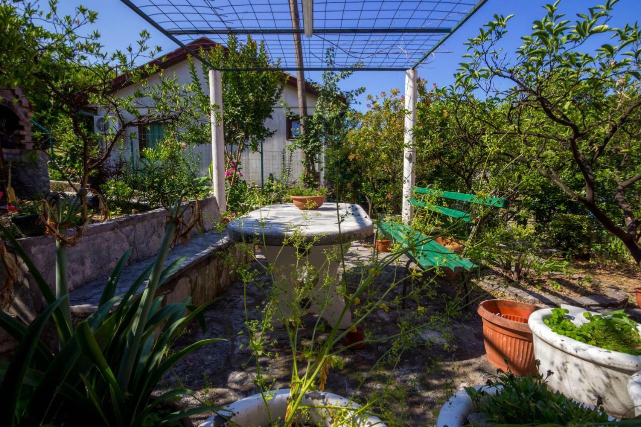 Apartmani Vesna Tivat Exteriér fotografie